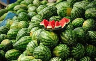 五一吃瓜网免费吃瓜,免费瓜果盛宴等你来尝！  第2张