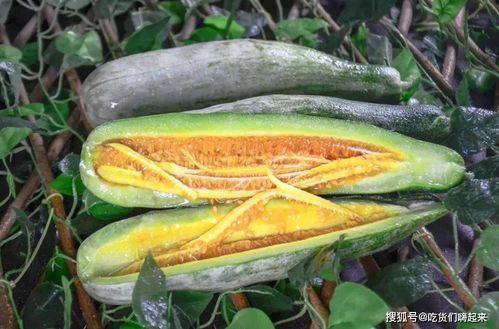 网红刘二萌吃瓜图片,趣味瞬间引网友热议 第1张 网红刘二萌吃瓜图片,趣味瞬间引网友热议 第1张