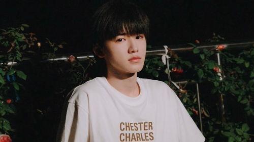 张真源私生爆料最新视频,揭秘明星私生活背后的真相  第1张