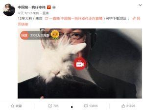 真实爆料白百何事件视频 第3张 真实爆料白百何事件视频 第3张